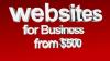 Professional websites add your business to the internet