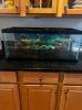 20 gallon long fish tank aquarium with glass cover
