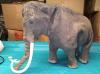 RC Woolly Mammoth by Wowee Intl