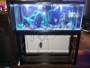 Aquarium 55 gallon fish tank. Running. With extra